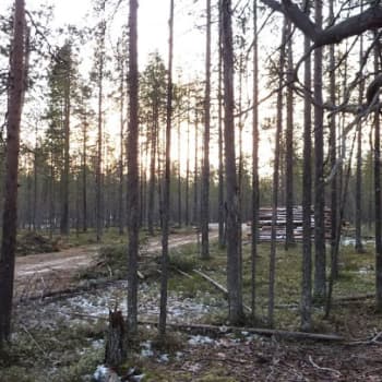 YLE Kainuu: Hossan retkeilyalueella riittää tutkittavaa