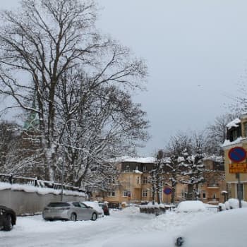 Katu-uskottavat tieteentekijät: Chydeniuksentie