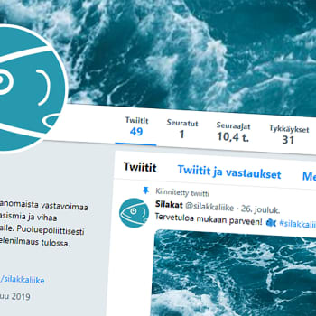 Katleena Kortesuo: “Silakkaliike on kuin tuore avopari, joka muuttaa yhteen ja me nähdään tämä kaikki livenä”