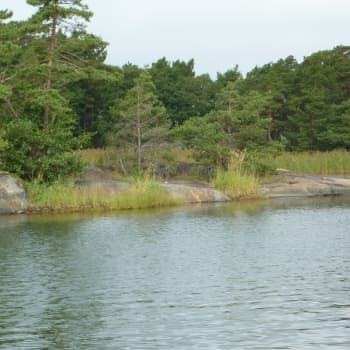 Pensionerade lantmätare Tom Dahlin om de gränser som dras för bybutiker och butiksstöd