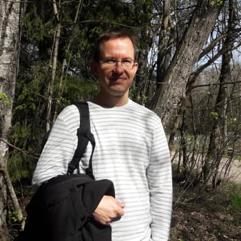 Kimalaiset pölyttävät metsämarjat