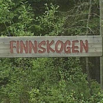 Ruotsin metsäsuomalaisten perinteet
