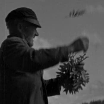 Kansanparantaja Penna Tolonen ja muut