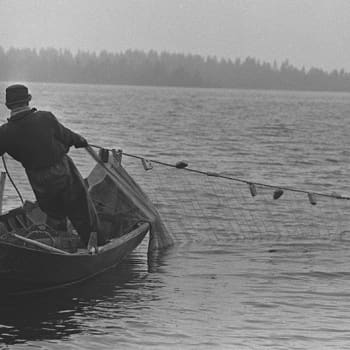 Kuusamon ja Koillismaan tekijöitä ja taiteilijoita