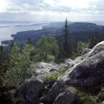Finlandia-hymni (Polyteknikkojen kuoro / Tapani Länsiö)