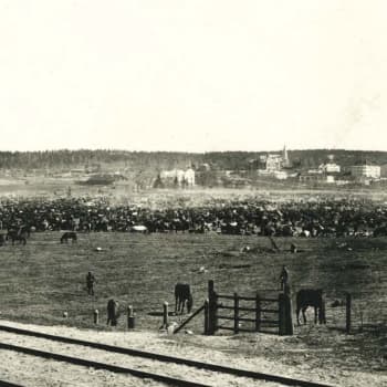 Annikki Kainlauri Lahden valtauksesta 1918