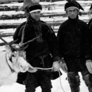 5/6 Poronomadit ja muut saamelaiset