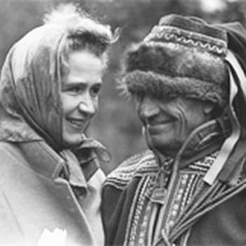 Arktinen raportti