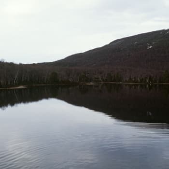 Ailigas-tunturin ylistysjoiku 1954