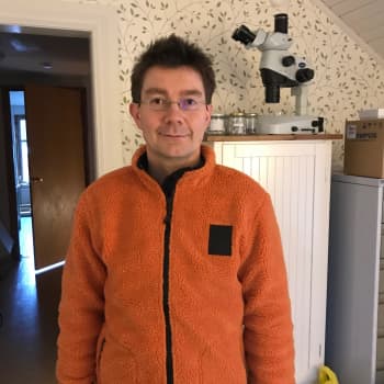 Fladdermöss på Valsörarna undersöks med hjälp av ny teknik
