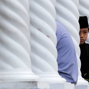 Jumalallinen laki, sharia ja islamilainen laintulkinta