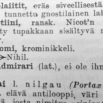 Uusien kielten termit