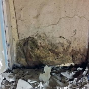 Många lider av mögel i luften - men lyssnar någon på deras berättelse?