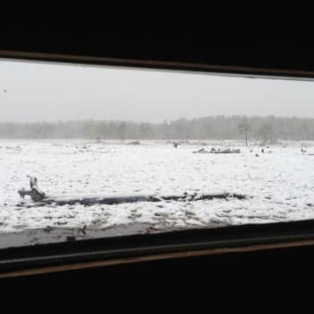 Luontoretki.: Hukkareissu