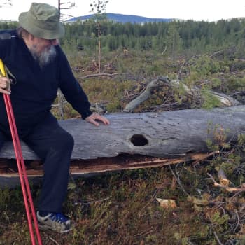 Luontoretki.: Hiiripöllön pesällä
