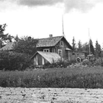 Sillanpään maisema (1958)
