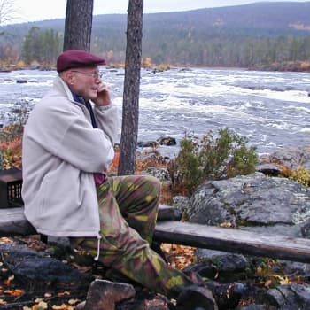 Metsätarinoiden ilta