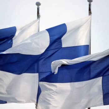 Viikon sitaatti: Venäjän federaation Maamme