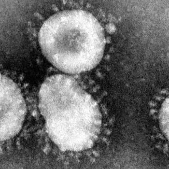 Voisiko koronavirus olla lähtöisin sotilaslaboratoriosta?