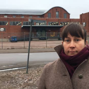 Kotkan Hovinsaari on täynnä kerroksellista rakennuskantaa
