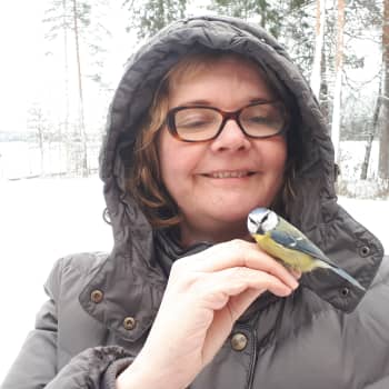 Konneveden tutkimusasemalla kehitetty videotutkimus todistaa: tiaiset viestivät toisilleen huonosta ravinnosta