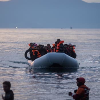 EU och flykting- och migrantsituationen vid den grekisk-turkiska gränsen