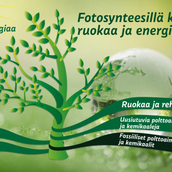 Hiilineutraali maailma – korvaavatko yhteyttämisen kautta syntyneet suorat biopolttoaineet fossiiliset polttoaineet?
