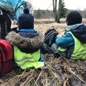 Barnen i lekskolan Sockan trivs i mulleskogen