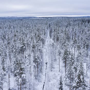 Kainuu käy viivytystaistelua koronavirusta vastaan