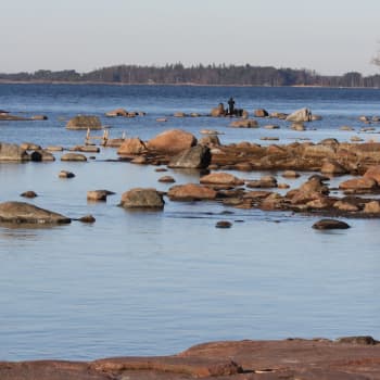 Katsotaanko kevättä etelän silmin?