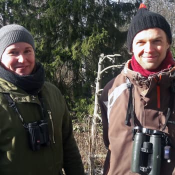 Linnut ja muuttuva ilmasto