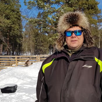 Miehtá Sámi heahtedilli boazodoalus