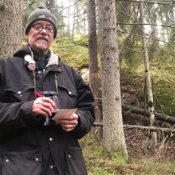 Talvilintulaskentoja 50 vuotta Halikonlahden maisemissa