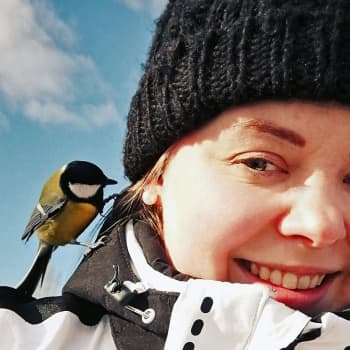 Talitiainen iholla