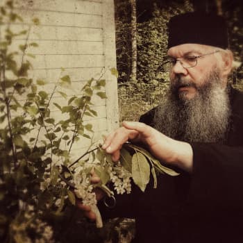 Siunatut kaksi vuodenaikaa - Munkki Stefanos ei saa kiintyä ihmisiin