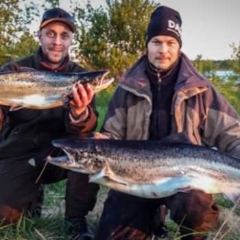 Kesäkuussa 2013 Lapin liittoon perustettiin lohityöryhmä, joka toimii asiantuntijaelimenä kaikissa Lappia koskevissa