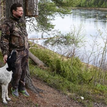 Organisaatioilla ja työryhmillä on demokratioissa karkeasti ottaen kaksi erilaista tehtävää.