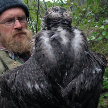 Pertti Koskimiehen matkassa kevääseen OSA 1