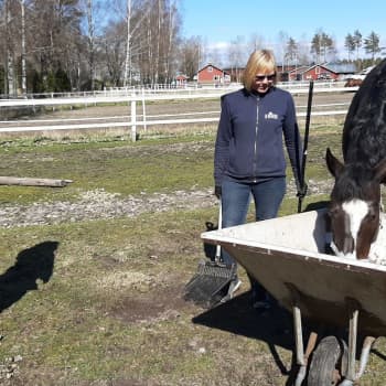 Strängare direktiv i stallen i coronatider