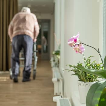 Inga konstaterade coronafall inom äldrevården i Östnyland