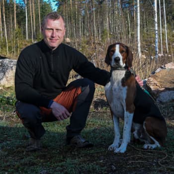 Jägarna har fått kontroll över vitsvanshjortstammen i Borgånejden - men varför matas djuren?