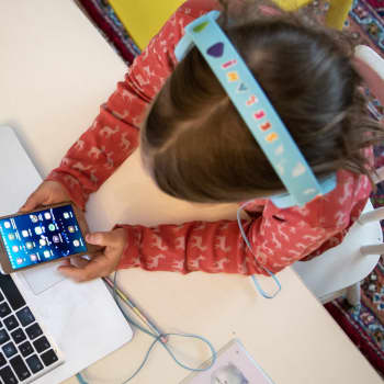 Vilka utmaningar står skolan inför?