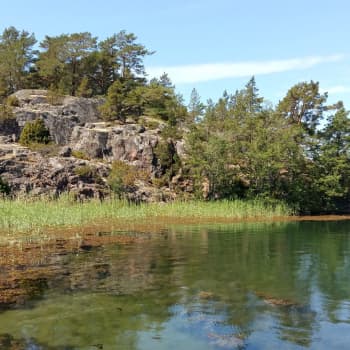 Sedimentexperimenten utanför Houtskär fortsätter