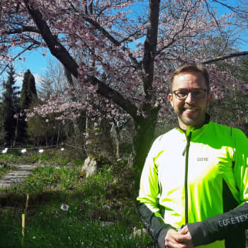 Eläköön hyönteiset!