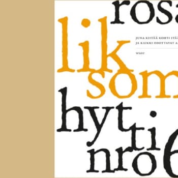 Kirjakammi: Rosa Liksom - Hytti nro 6