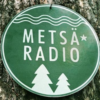 Metsäradio.: Pakina 16.11.2009 Muuttoliike seis