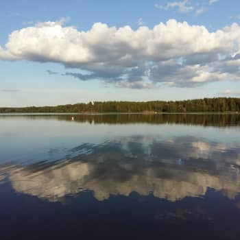 Västnyländska kommuner säljer sina hus på nätet – fastighetsförmedlare anlitas allt mer sällan