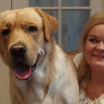 Kaarina Strandberg: Autismikoiran katse hoitaa lastani ja koira myös valvoo hänen toimiaan