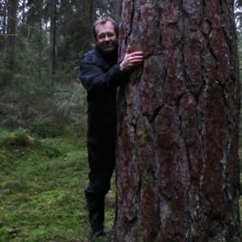 Minna Pyykön maailma: Löytyykö suomalaisuus metsästä?
