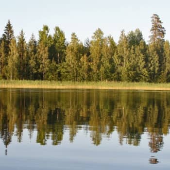 Luontoretki.: Saapunkijärven kalansaaliita